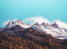 欧文为何从未加冕得分王